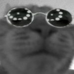 Profile picture of fiyn